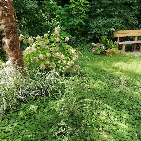 Daire In The Center Of Old Town Pula